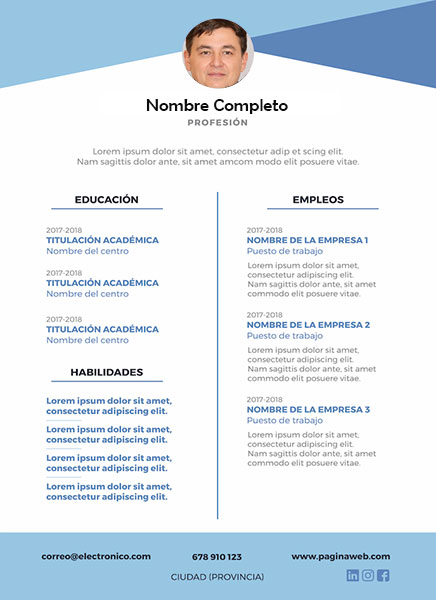 plantilla currículum mecánico de aeronaves